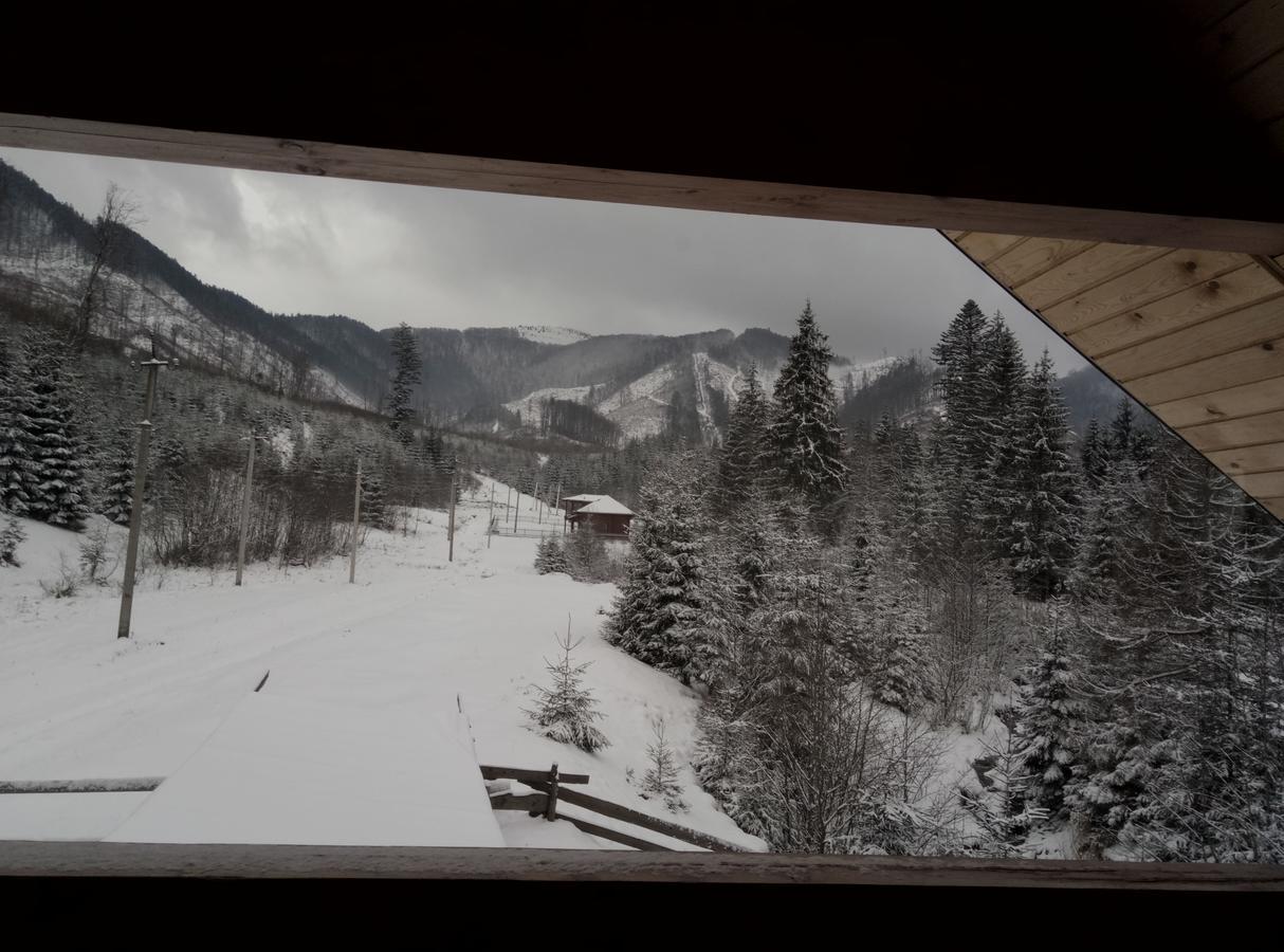 Wooddream Otel Volovets Dış mekan fotoğraf