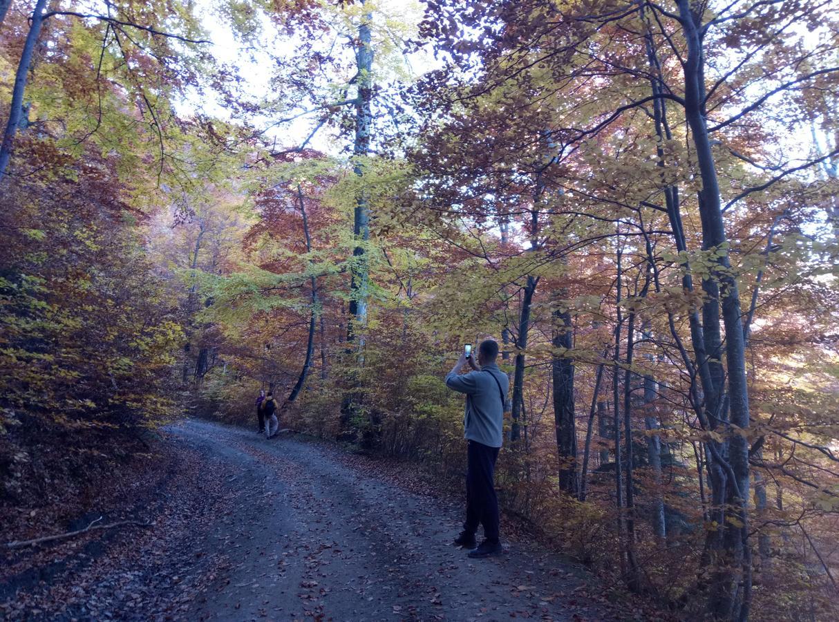 Wooddream Otel Volovets Dış mekan fotoğraf