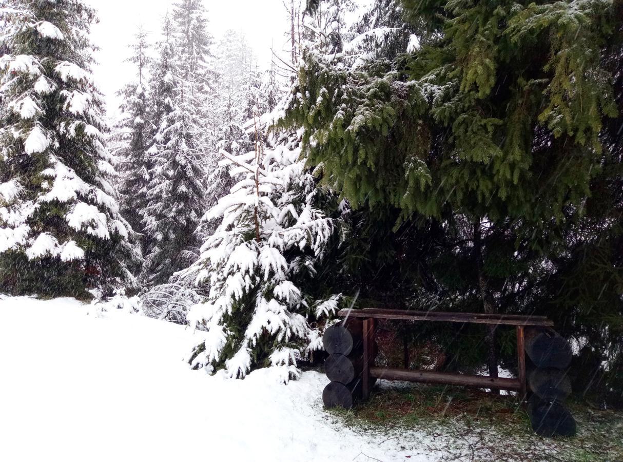 Wooddream Otel Volovets Dış mekan fotoğraf