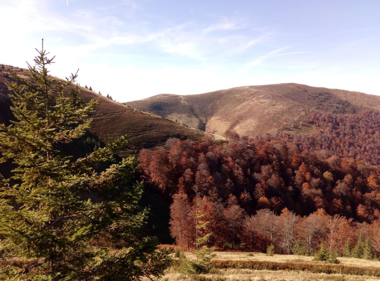 Wooddream Otel Volovets Dış mekan fotoğraf