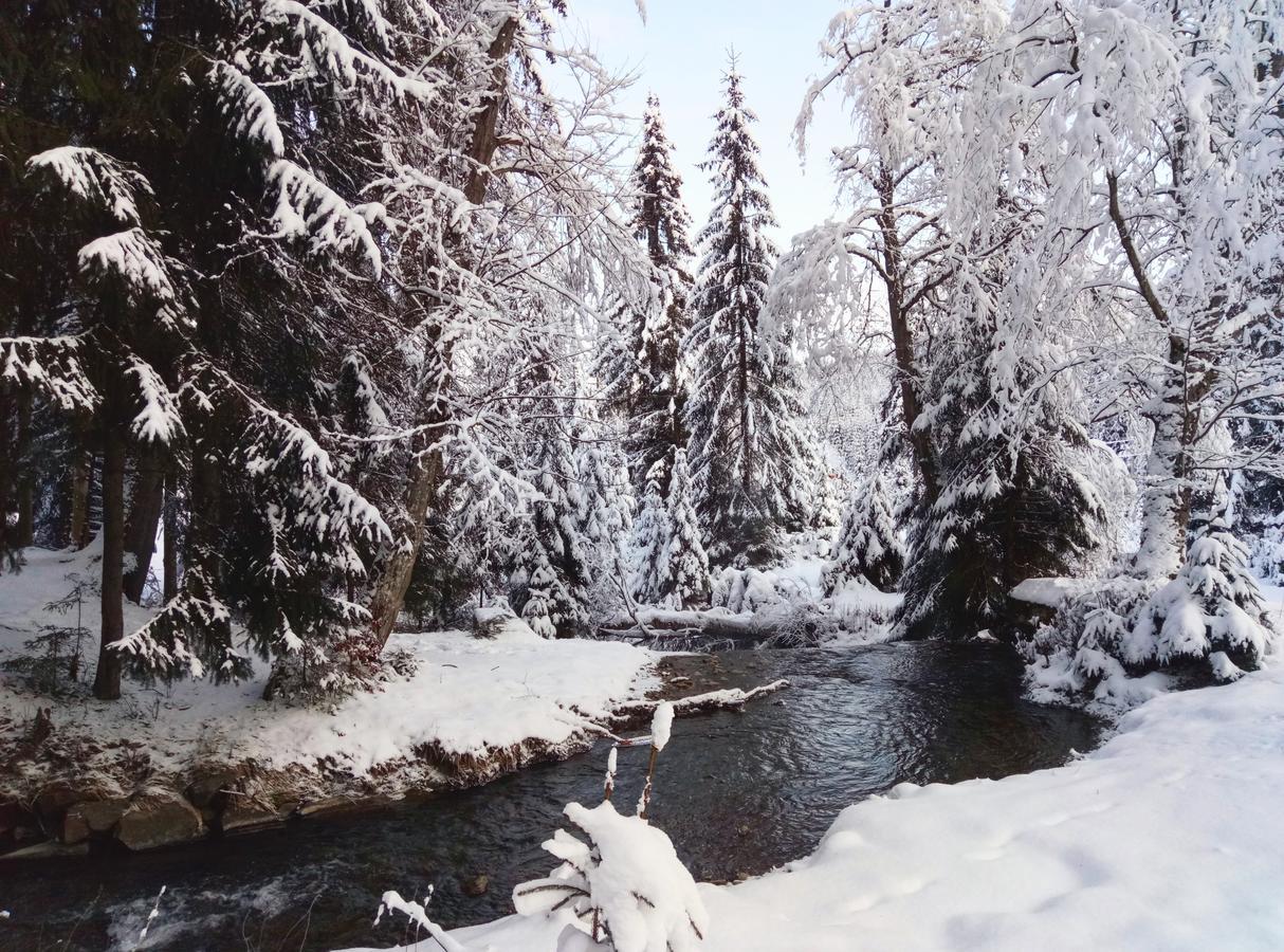 Wooddream Otel Volovets Dış mekan fotoğraf