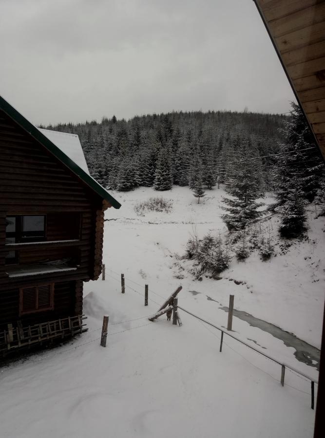 Wooddream Otel Volovets Dış mekan fotoğraf