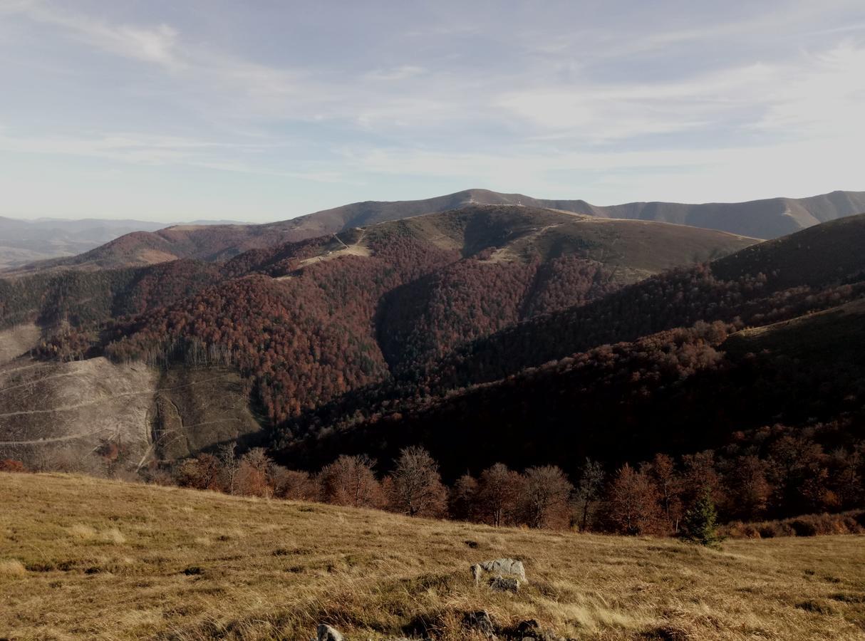 Wooddream Otel Volovets Dış mekan fotoğraf